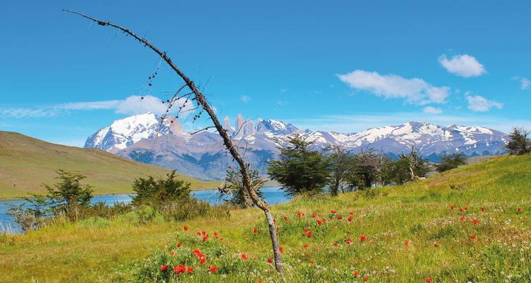 Schilderachtig landschap met bergen, een meer en wilde bloemen.