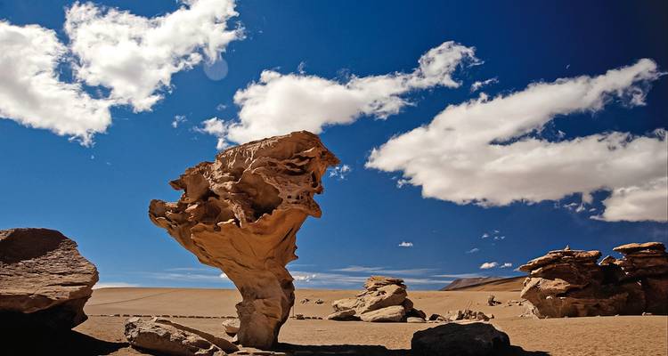 Expérience du Triangle des Andes : désert, sable et sel - DERTOUR 2
