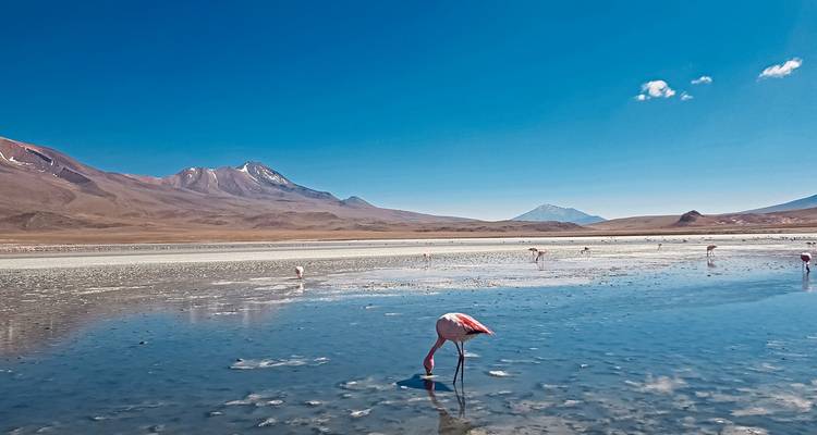 Expérience du Triangle des Andes : désert, sable et sel - DERTOUR 7