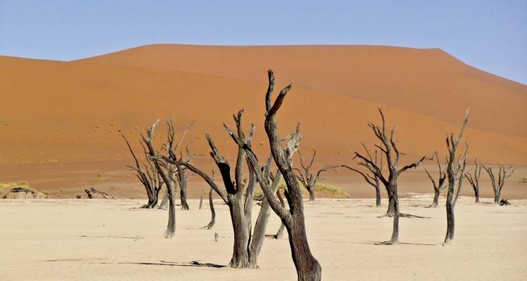 Dune magic Sossusvlei - DERTOUR 1