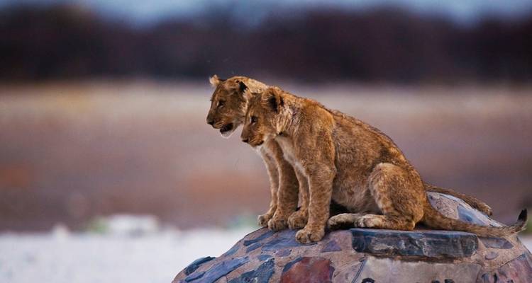 Gondwana Collection: Namibia with heart and soul - DERTOUR 5