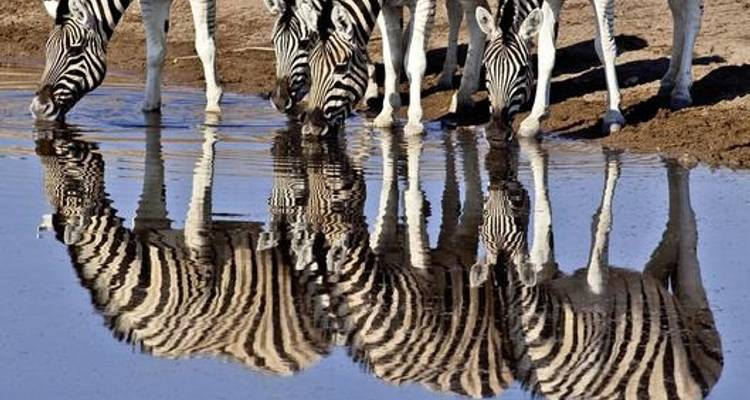Gondwana Collection: Namibia with heart and soul - DERTOUR 6