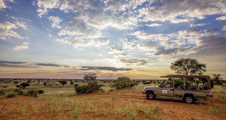 Ein offenes Safarifahrzeug in einer Savannenlandschaft bei Sonnenuntergang.