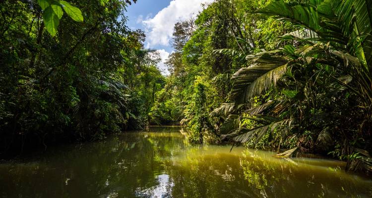 Ruhiger tropischer Kanal umgeben von üppigem Grün.