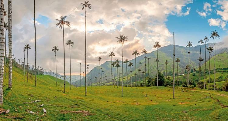 Unique Colombia - DERTOUR 5