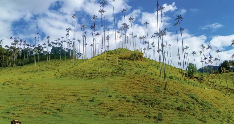 Unique Colombia - DERTOUR 10