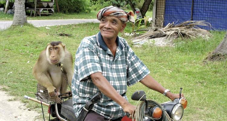 Un homme sur une moto avec un singe assis derrière lui dans un paysage vert.
