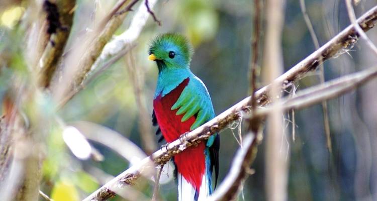 El salvaje sur de Costa Rica - DERTOUR 4