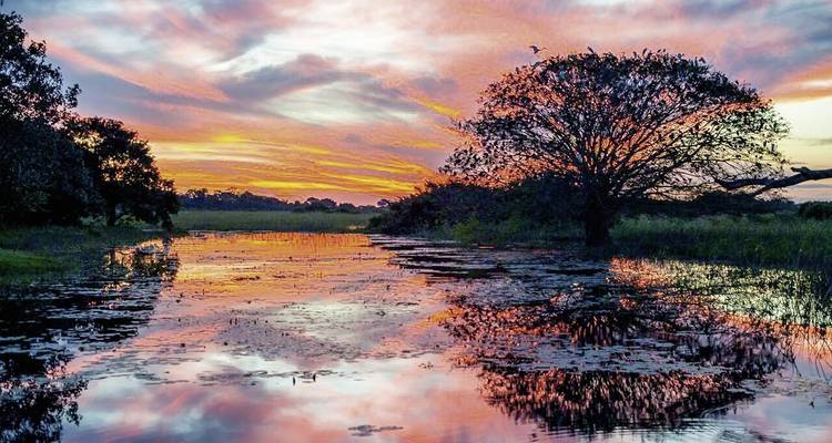 Prachtig uitzicht op een wateroppervlak dat een kleurrijke zonsonderganghemel weerkaatst met gesilhouetteerde bomen.