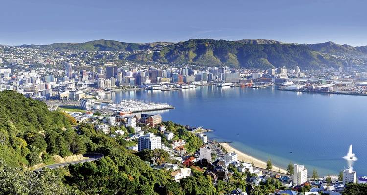 Cityscape of Wellington overlooking the harbor.
