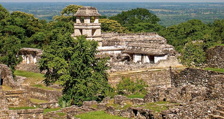 Antike Maya-Ruinen von Palenque erheben sich aus dichtem Dschungel mit steinernen Tempeln und Palästen.