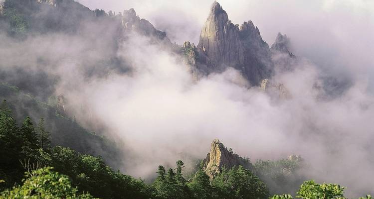 South Korea Active (land program only) - DERTOUR 2