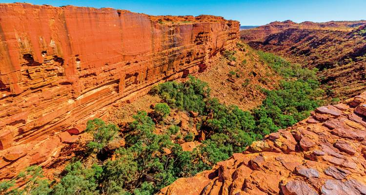 A beautiful red rock canyon with green vegetation.