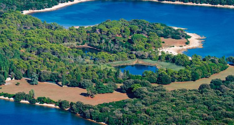 Luftaufnahme einer Insel mit dichter Vegetation und Seen.