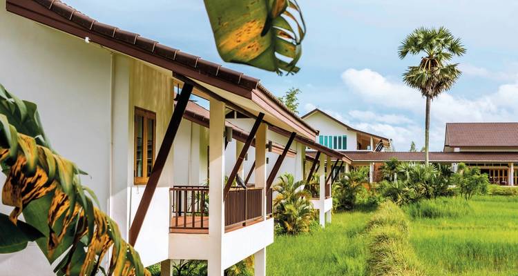 Original Isan & Pimali Foundation - DERTOUR 9