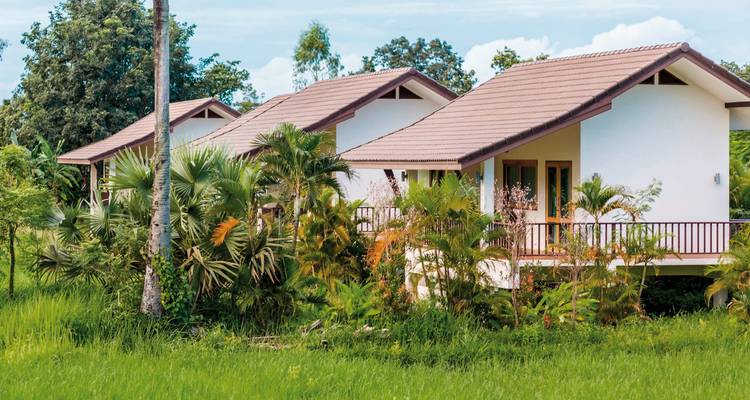 Maisons entourées d'une végétation luxuriante.