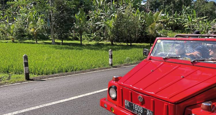 Voiture rouge vintage roulant sur une route rurale avec des rizières.