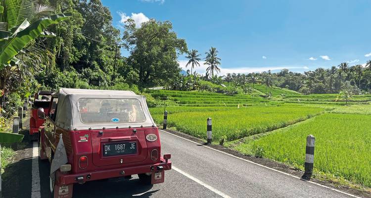 Jeep garée sur une route rurale près de rizières.