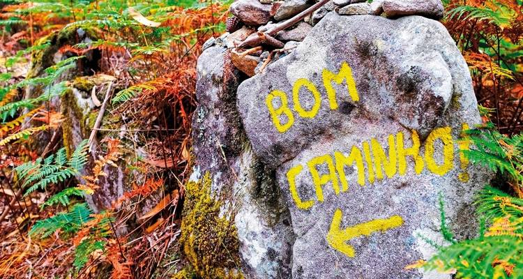 Senderismo en el Camino de Santiago - La ruta portuguesa por la costa en profundidad - DERTOUR 5
