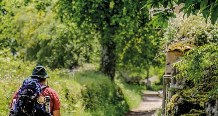 Ein Wanderer, der durch einen üppig grünen Waldweg geht.