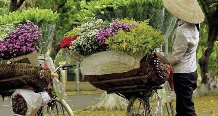 Vietnam Clásico (viaje privado) - DERTOUR 10