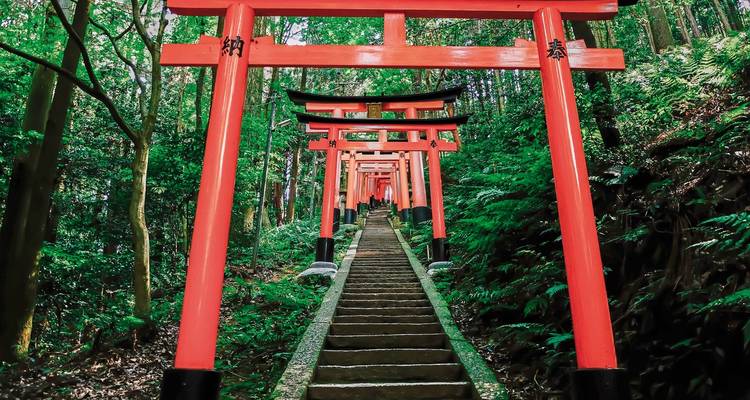 Des marches menant à travers une série de torii rouges dans la forêt.