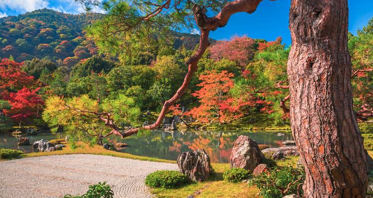 Jardin japonais serein avec un feuillage automnal vibrant se reflétant dans un étang tranquille à côté d'un gravier ratissé.