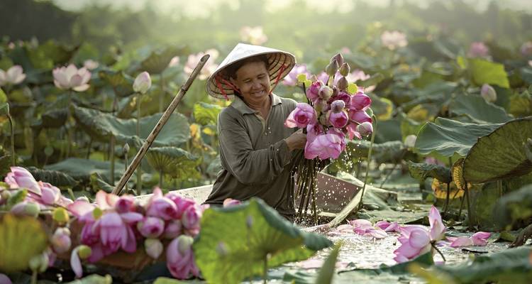 Personne souriante dans un bateau cueillant des fleurs de lotus.