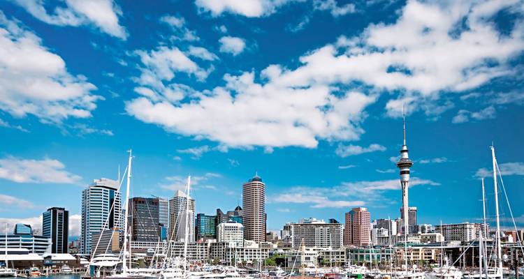 Paysage urbain d'Auckland avec la Sky Tower et le port de plaisance.