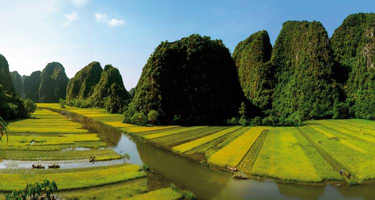 Uitgestrekt uitzicht op rijstvelden omgeven door majestueuze bergen.