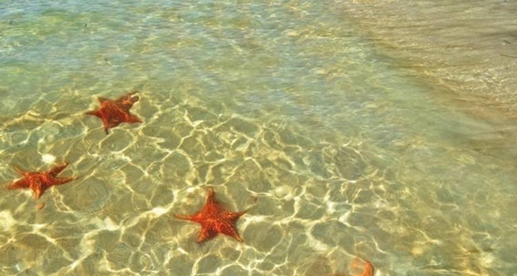 Caribbean island dreams: Bocas del Toro - DERTOUR 2