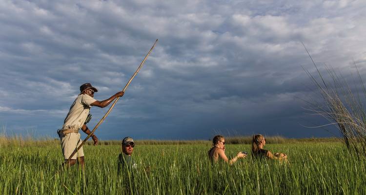 Group of people in a mokoro boat navigating through reeds.