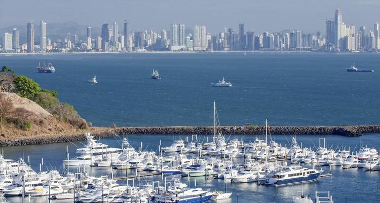 Marina with yachts and city skyline in the background.