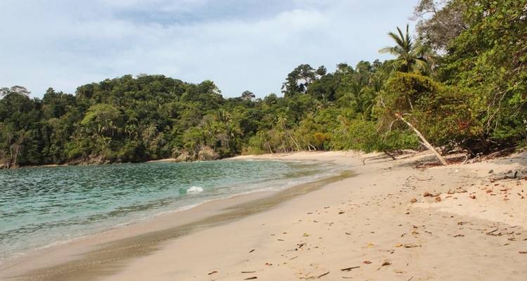 El paraíso de Grune - DERTOUR 5