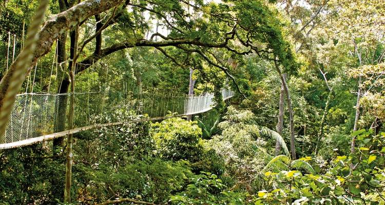 Taman Negara (2 Nachte) - DERTOUR 8