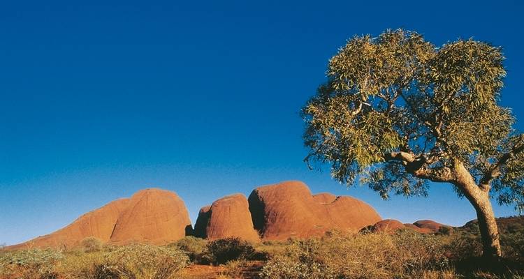 Experience the Red Center - DERTOUR 5