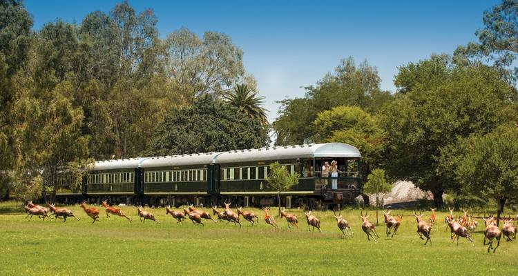 Rovos Rail - The Pride of Africa (including Polokwane) - DERTOUR 7