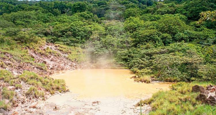 Étang vapeureux aux alentours verdoyants et luxuriants.