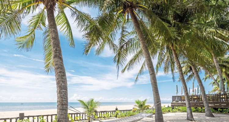Plage de sable blanc avec des palmiers sous un ciel bleu clair, hamac en vue.