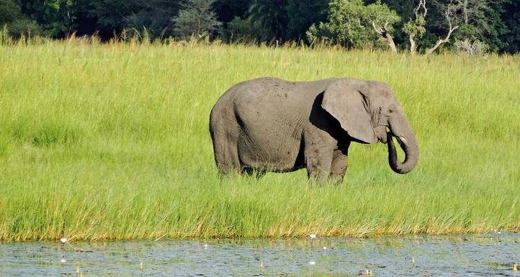 Kaléidoscope du Botswana à partir de Victoria Falls - DERTOUR 3