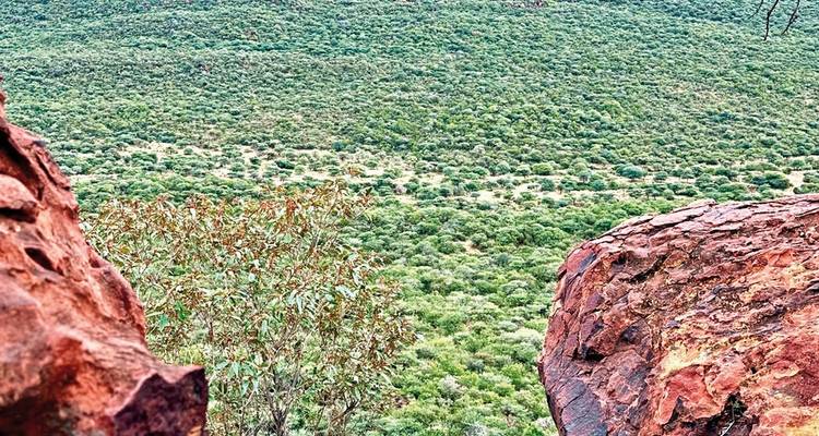 Namibia Discovery Tour (northbound) - DERTOUR 10