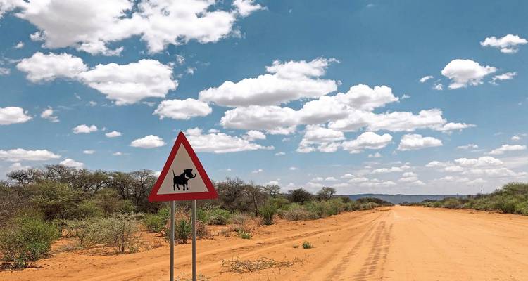 Verkeersbord dat wildwisseling aangeeft op een zandweg.