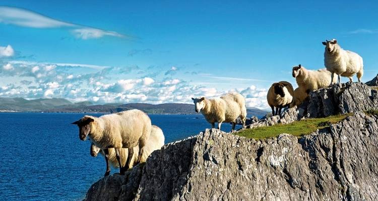 Experimenta las Islas Grune - Gran Bretaña e Irlanda - DERTOUR 4