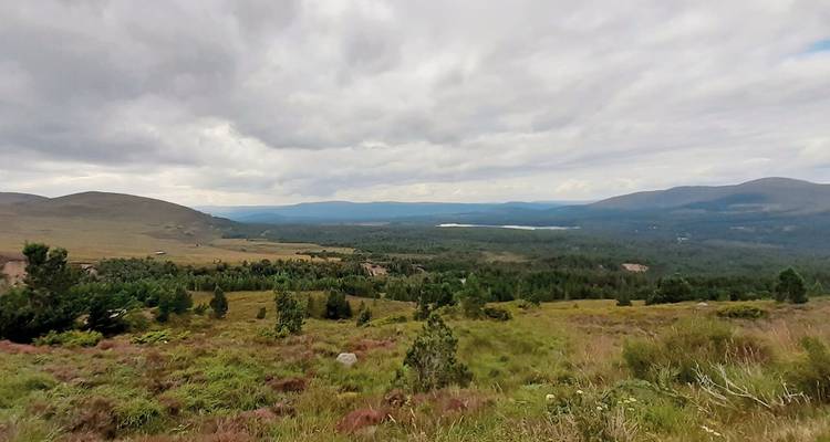 Vue panoramique avec un ciel nuageux et des collines.