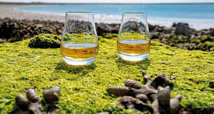 Dos vasos de whisky colocados sobre una superficie cubierta de musgo junto al mar.