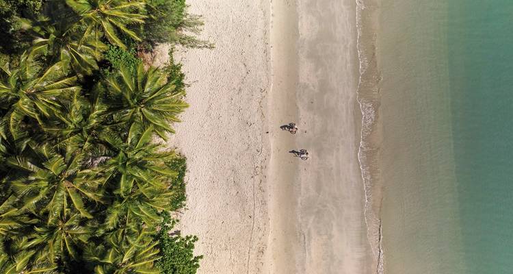 Drone view of people walking on a sandy beach lined with palm trees, next to turquoise sea.
