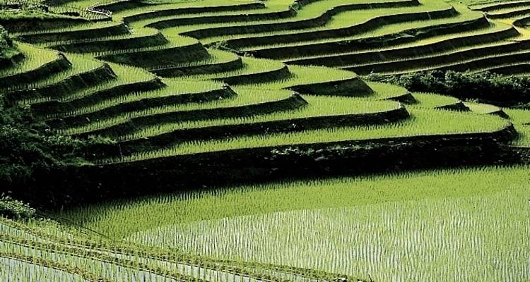 Sapa - Fascinating mountain worlds - DERTOUR 7