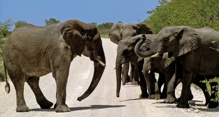 Namibie pour s'attarder Nordwarts - DERTOUR 2