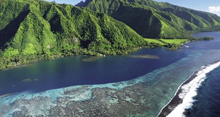 Luchtfoto van weelderig kustlandschap met de oceaan.