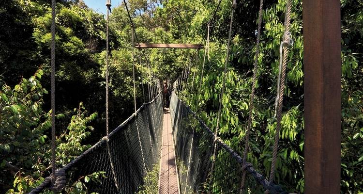 Taman Negara (3 nights) - DERTOUR 5